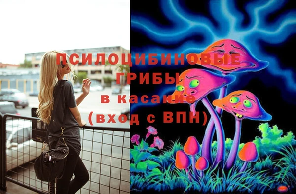 ГАЛЛЮЦИНОГЕННЫЕ ГРИБЫ Нягань