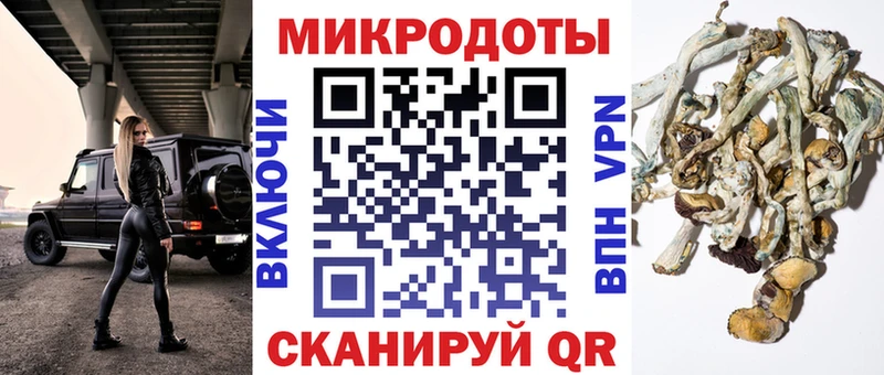Псилоцибиновые грибы MAGIC MUSHROOMS  Купить где  Белгород 