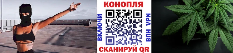 Купить где Белгород Конопля ГИДРОПОН